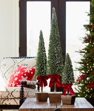 Load image into Gallery viewer, Potted Trees with Bows
