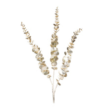 Load image into Gallery viewer, Eucalyptus Spray - 36"
