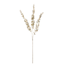 Load image into Gallery viewer, Eucalyptus Spray - 36"
