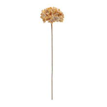 Load image into Gallery viewer, Hyndrangea Stem - 29.5"
