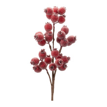 Load image into Gallery viewer, Berry Spray - 21"
