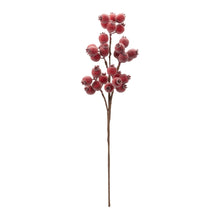 Load image into Gallery viewer, Berry Spray - 21"
